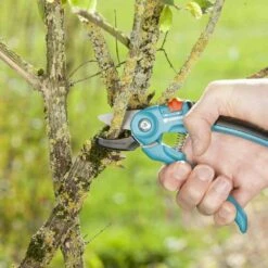 GARDENA Gartenschere A/S 0885520 -Garten Werkzeuge Verkauf 0b5582a8 b939 40a9 876d ab6a6fc26126