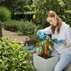 GARDENA Set Kleingeräte Grundausstattung Kleingeräte Grundausstat. -Garten Werkzeuge Verkauf 10cc24ae 0aae 4c98 8def f60a70a75699