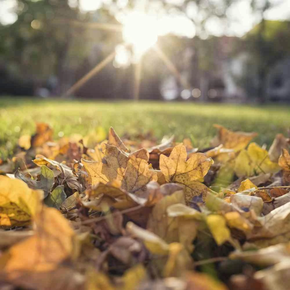 Gardena Laub- Und Rasensammler 9 Gardena Laub- Und Rasensammler – Bild 7