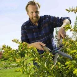 GARDENA NatureCut Heckenschere NatureCut -Garten Werkzeuge Verkauf 81f10d27 e421 4580 a534 81f2242be8ac